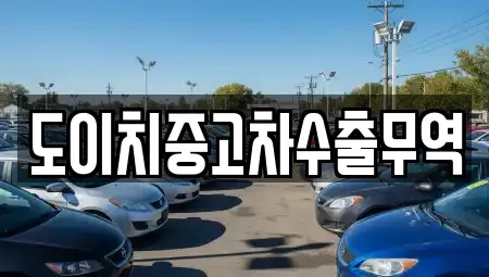 울산광역시 중구 남외동 중고차매매,단기렌트카,중고차매입,장기렌트카,중고차,렌트카