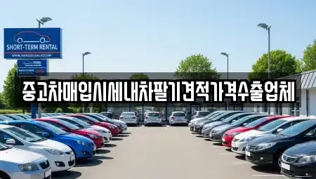 울산광역시 중구 남외동 중고차매입 전문 중고차매입시세내차팔기견적가격수출업체