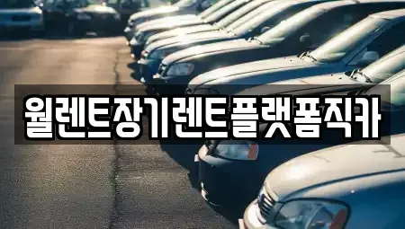인천 서구 검암동 렌트카 전문 월렌트장기렌트플랫폼직카