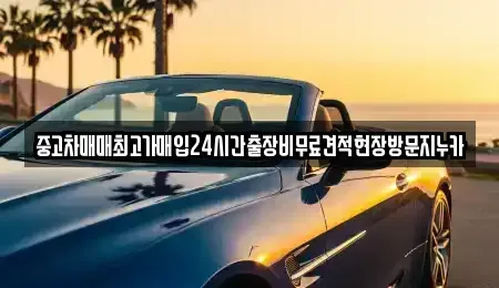 인천 서구 검암동 중고차매입 전문 중고차매매최고가매입24시간출장비무료견적현장방문지누카