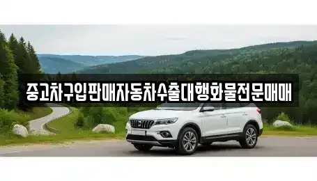 인천 중구 송학동1가 중고차매매 전문 중고차구입판매자동차수출대행화물전문매매