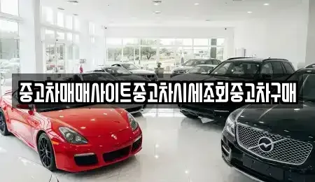 인천 중구 신흥동1가 중고차 전문 중고차매매사이트중고차시세조회중고차구매