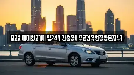 인천 중구 신흥동1가 중고차매입 전문 중고차매매최고가매입24시간출장비무료견적현장방문지누카