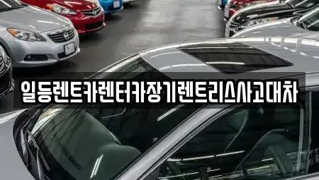 인천광역시 남동구 남촌동 장기렌트카 전문 일등렌트카렌터카장기렌트리스사고대차