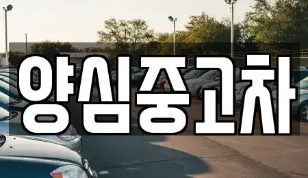 인천광역시 남동구 남촌동 중고차 전문 양심중고차