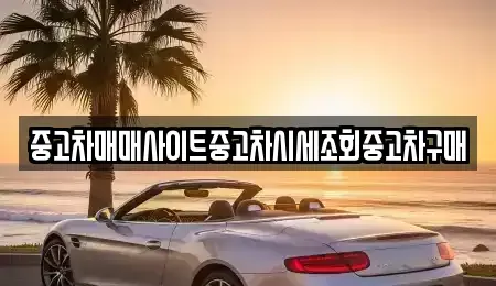 인천광역시 남동구 남촌동 중고차매매 전문 중고차매매사이트중고차시세조회중고차구매