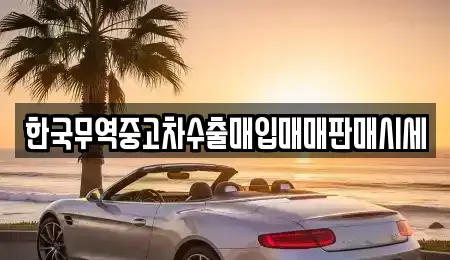 전남 나주시 진포동 렌트카,단기렌트카,장기렌트카,중고차,중고차매매,중고차매입