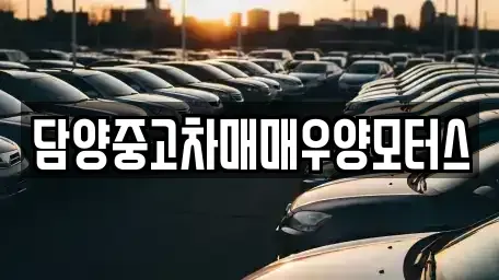 전남 담양군 봉산면 중고차매매 전문 담양중고차매매우양모터스