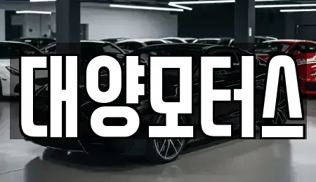 전남 담양군 봉산면 중고차매매 전문 대양모터스