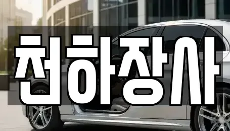 전남 담양군 봉산면 중고차매매 전문 천하장사