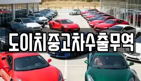 전남 보성군 회천면 렌트카,단기렌트카,장기렌트카,중고차,중고차매매,중고차매입