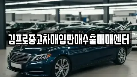 전라남도 보성군 벌교읍 중고차 전문 김프로중고차매입판매수출매매센터
