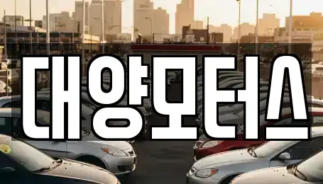 전라남도 보성군 벌교읍 중고차 전문 대양모터스