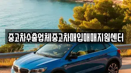 전북 전주시 중고차매입 전문 중고차수출업체중고차매입매매지원센터