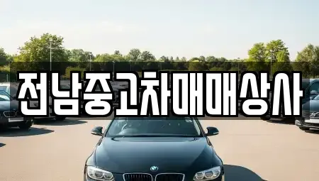 전북특별자치도 고창군 성내면 렌트카,단기렌트카,장기렌트카,중고차,중고차매매,중고차매입