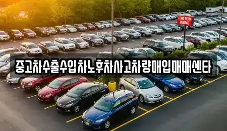 전북특별자치도 김제시 백구면 중고차매입 전문 중고차수출수입차노후차사고차량매입매매센타