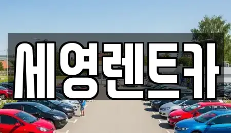 전북특별자치도 전주시 덕진구 만성동 렌트카 전문 세영렌트카