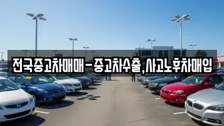 전북특별자치도 전주시 완산구 동완산동 중고차매입 전문 전국중고차매매-중고차수출,사고노후차매입