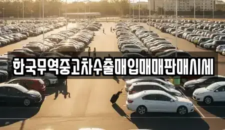 전북특별자치도 전주시 완산구 동완산동 중고차매입 전문 한국무역중고차수출매입매매판매시세