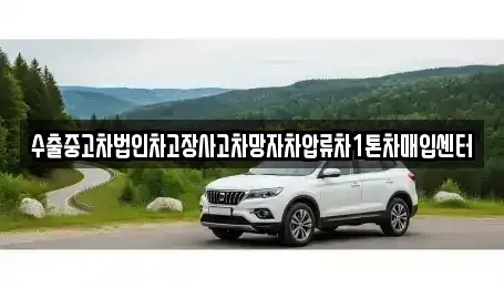 제주 서귀포시 표선면 중고차 전문 수출중고차법인차고장사고차망자차압류차1톤차매입센터
