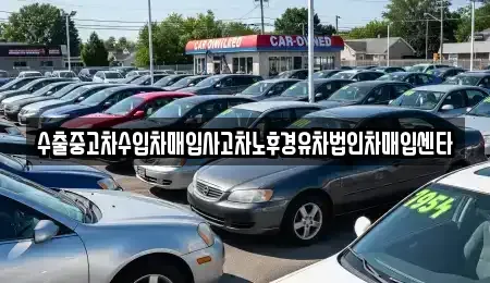 제주 서귀포시 표선면 중고차 전문 수출중고차수입차매입사고차노후경유차법인차매입센타