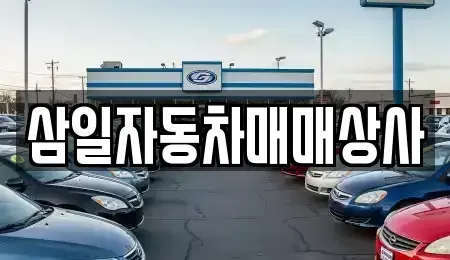 제주특별자치도 서귀포시 서호동 중고차 전문 삼일자동차매매상사