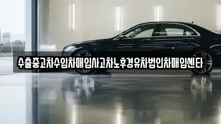 제주특별자치도 서귀포시 서호동 중고차 전문 수출중고차수입차매입사고차노후경유차법인차매입센타