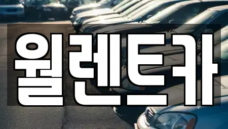 충남 천안시 서북구 불당동 렌트카 전문 월렌트카