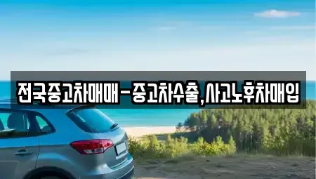 충남 천안시 서북구 불당동 중고차매입 전문 전국중고차매매-중고차수출,사고노후차매입