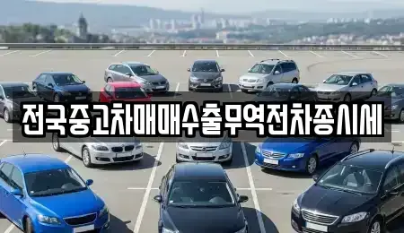 충남 태안군 근흥면 렌트카,단기렌트카,장기렌트카,중고차,중고차매매,중고차매입