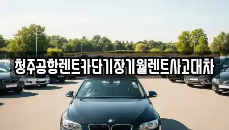 충북 청주시 흥덕구 휴암동 장기렌트카,중고차,렌트카,단기렌트카,중고차매입,중고차매매