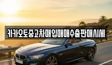 충청남도 논산시 채운면 중고차매입 전문 카카오토중고차매입매매수출판매시세