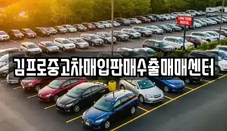 충청남도 서산시 인지면 중고차매입 전문 김프로중고차매입판매수출매매센터