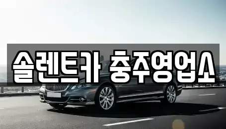 충청북도 충주시 용탄동 렌트카 전문 솔렌트카 충주영업소